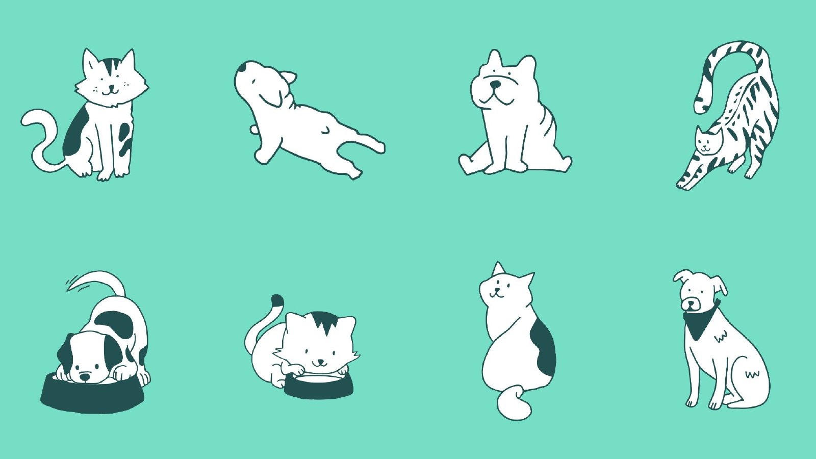 Eight line-drawn cats and dogs on teal