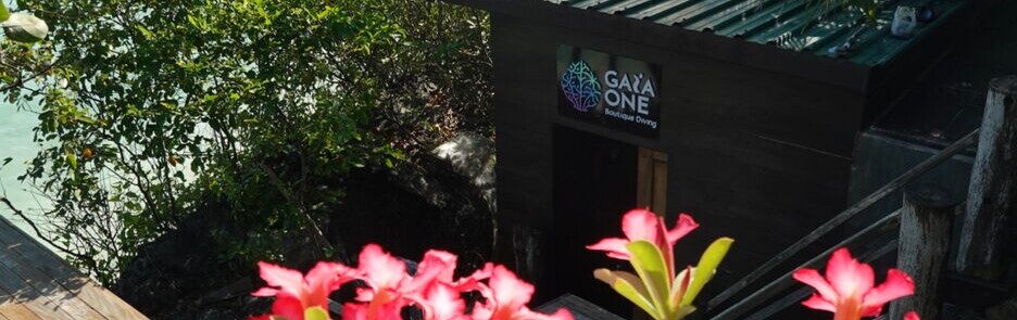 The Gaia One Boutique Diving sign above the dive shop in Tanjung Bira, overlooking the sea