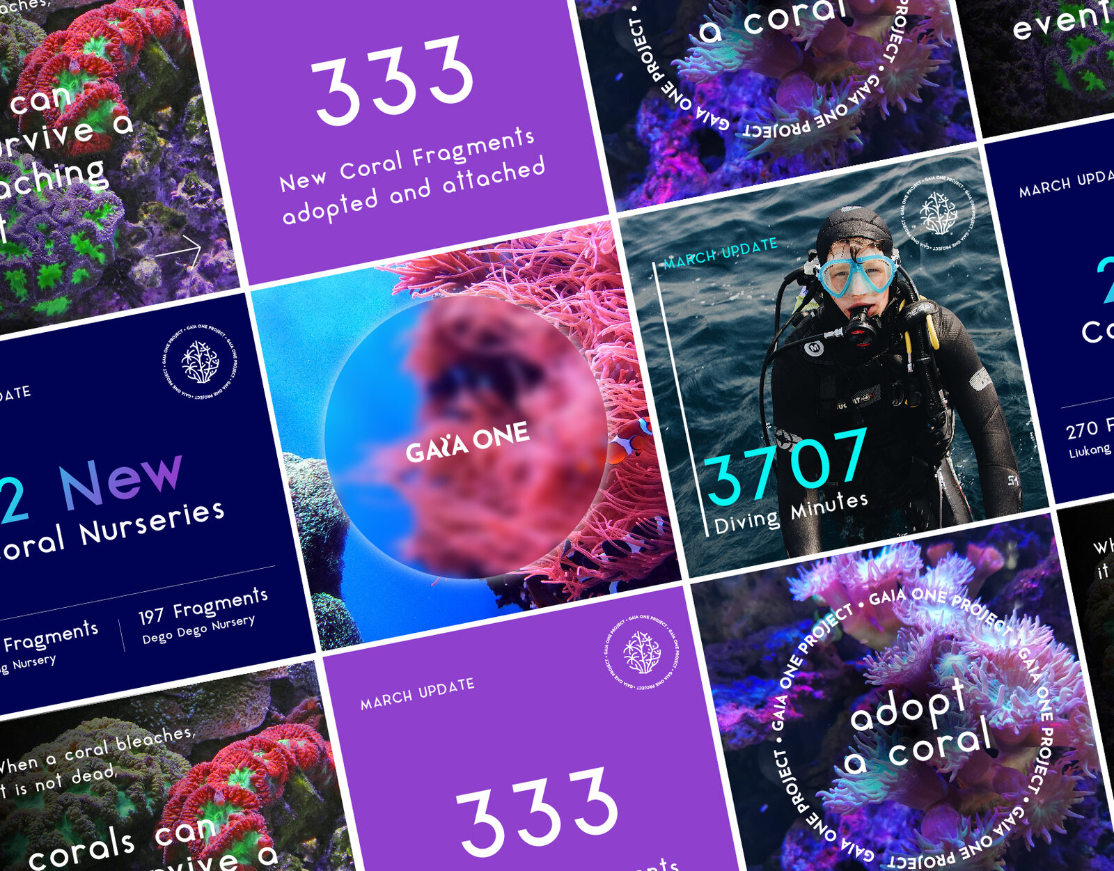 Grid of Gaia One Instagram posts with impact numbers and reef photography