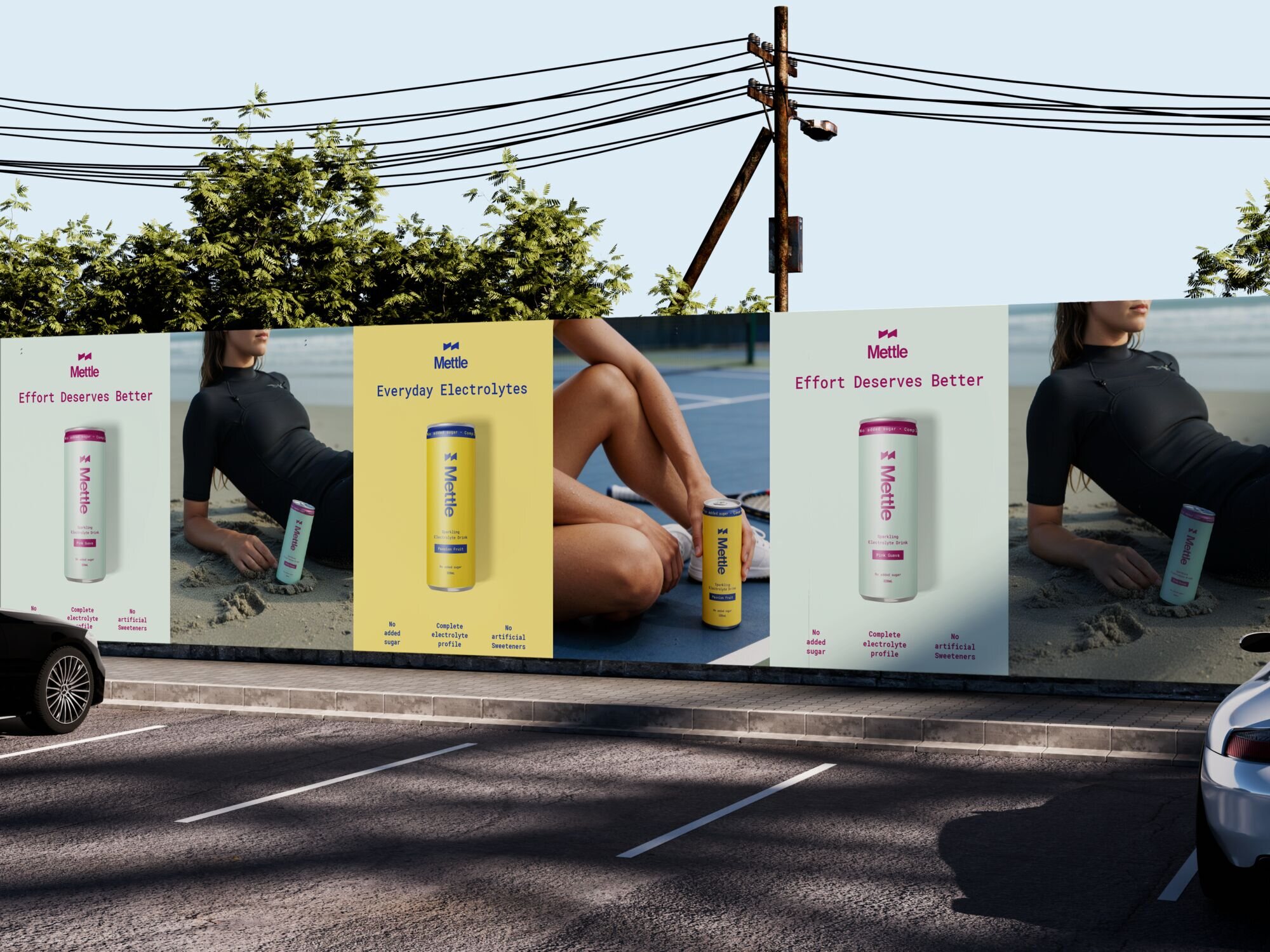 Mettle street billboards: Effort Deserves Better and Everyday Electrolytes